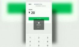 大伟哥本人爆料视频大全,揭秘幕后故事与真实人生