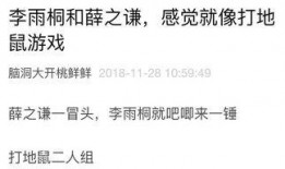 吃瓜的日记真香免费阅读,真香免费阅读背后的故事与感悟