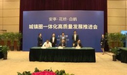 嘉定新闻爆料事件,揭秘背后真相与影响