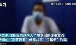 网络爆料缅甸事件视频完整版,揭露真相与冲突背后的残酷现实