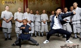 网友爆料少林寺视频播放,网友爆料视频揭秘千年古刹